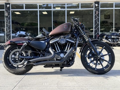 2019 Harley-Davidson Sportster.