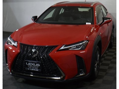 2021 Lexus UX.