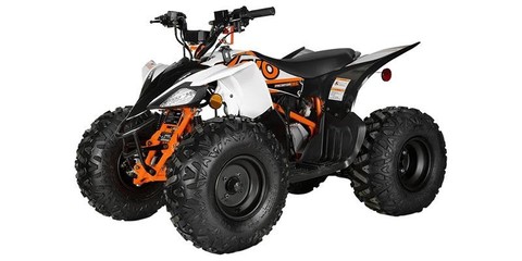2024 Kayo Predator 125.