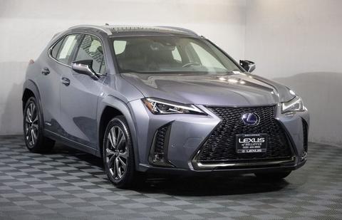 2020 Lexus UX.