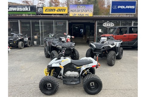 2024 Can Am Renegade 110.