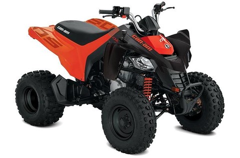2024 Can Am DS 250.
