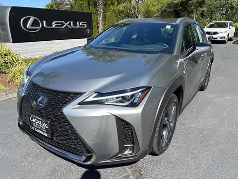 2019 Lexus UX.