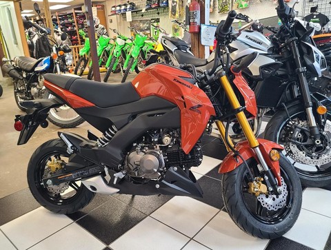 2025 Kawasaki Z Series.