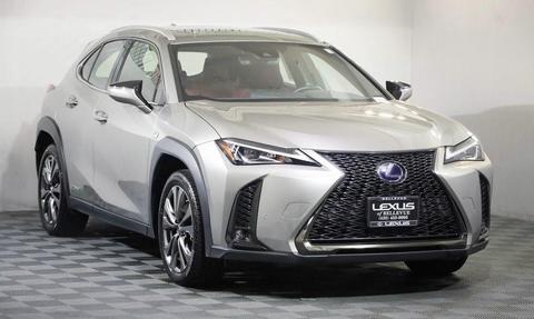 2020 Lexus UX.