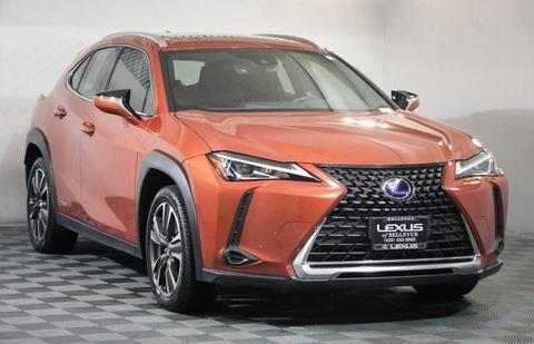2019 Lexus UX.