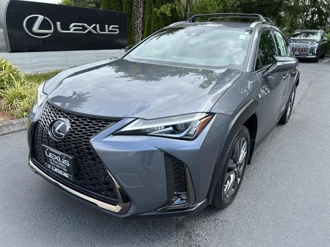 2021 Lexus UX.