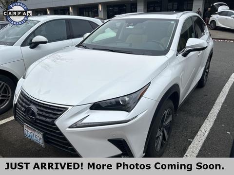 2020 Lexus NX.