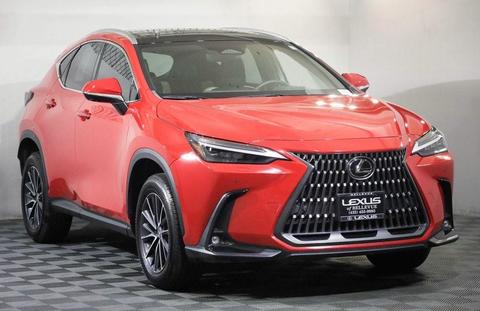 2024 Lexus NX.