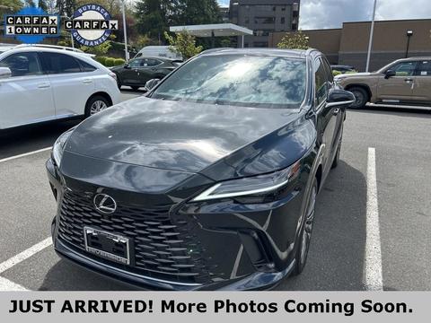 2025 Lexus RX.
