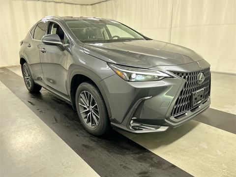 2022 Lexus NX.