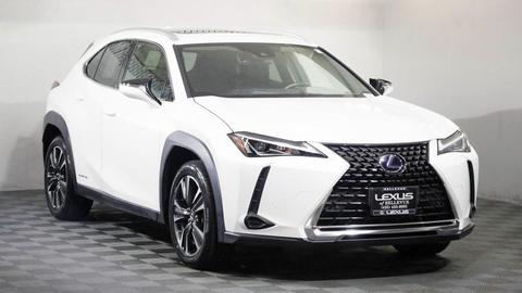 2020 Lexus UX.
