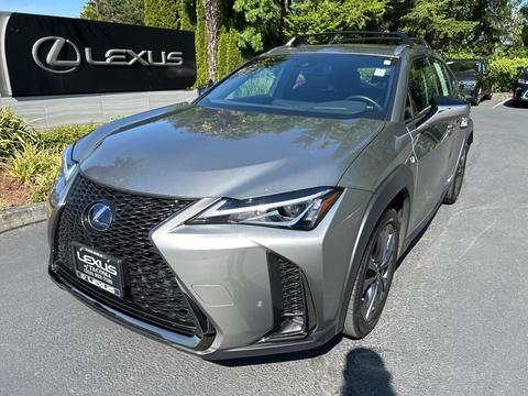 2021 Lexus UX.