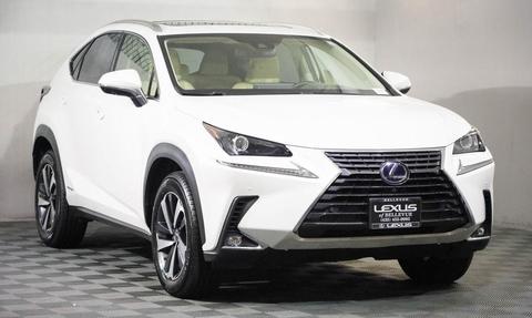 2020 Lexus NX.
