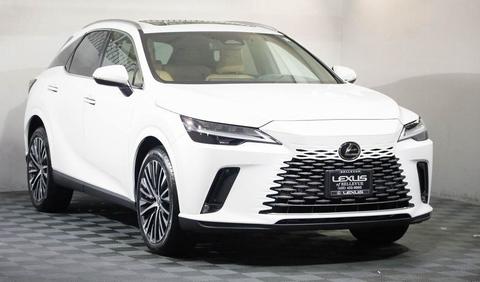 2023 Lexus RX.