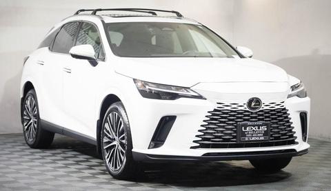 2024 Lexus RX.