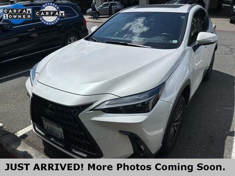 2024 Lexus NX.