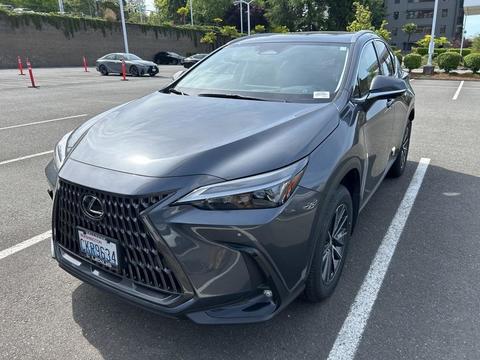 2024 Lexus NX.