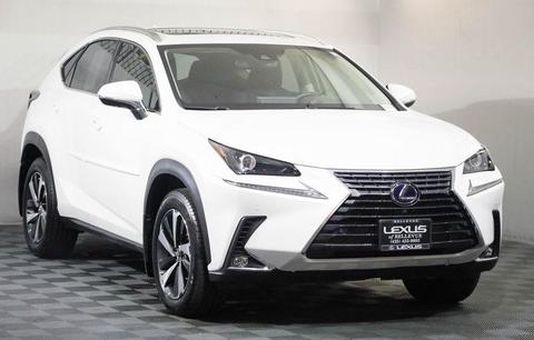 2020 Lexus NX.