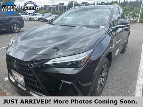 2024 Lexus NX.