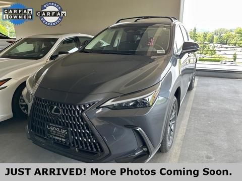 2024 Lexus NX.