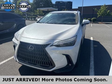 2024 Lexus NX.