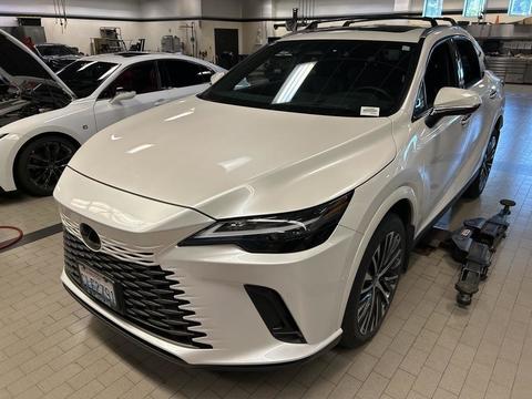 2024 Lexus RX.
