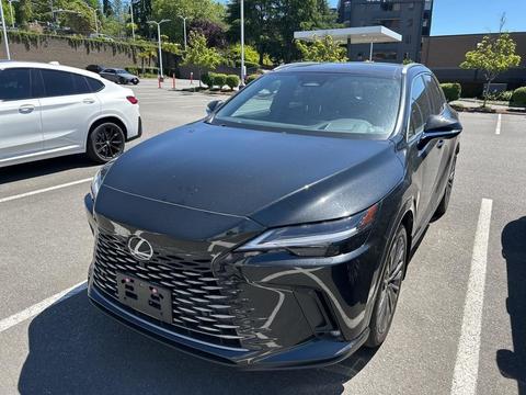 2025 Lexus RX.