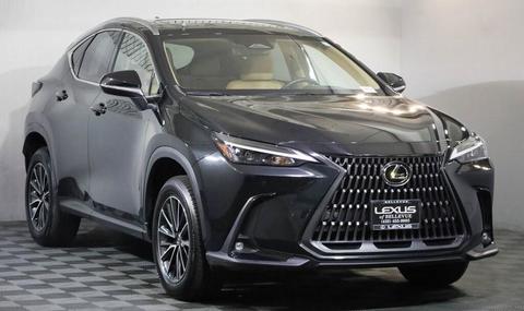 2024 Lexus NX.
