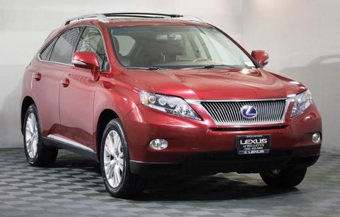 2010 Lexus RX.