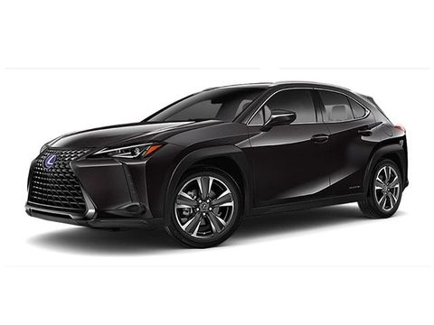 2021 Lexus UX.