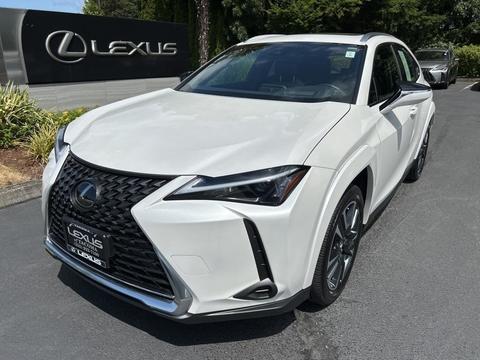 2024 Lexus UX.