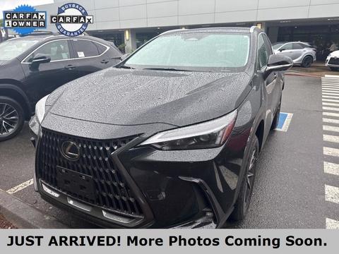 2025 Lexus NX.