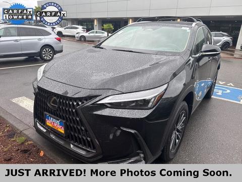 2025 Lexus NX.