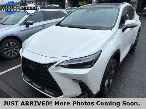 2025 Lexus NX.
