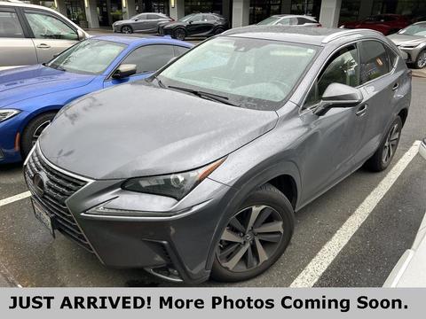2020 Lexus NX.