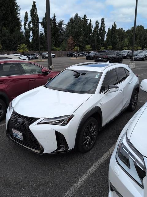 2020 Lexus UX.