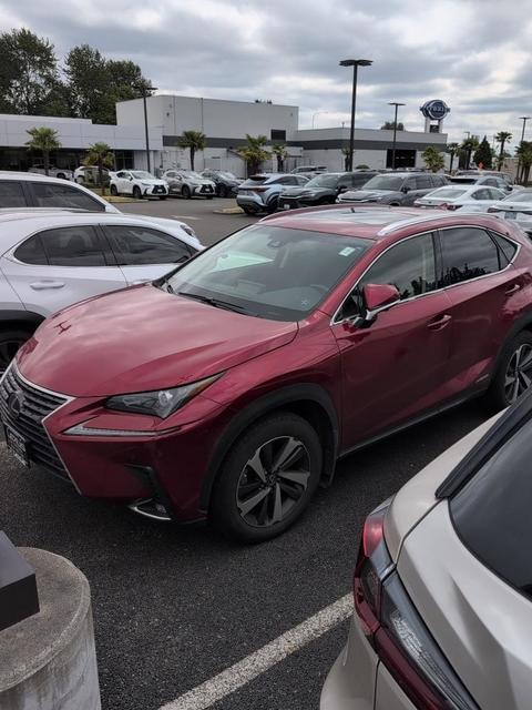 2019 Lexus NX.