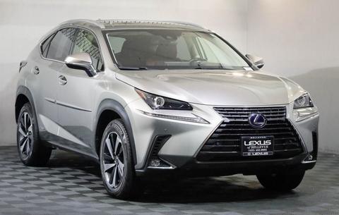2020 Lexus NX.