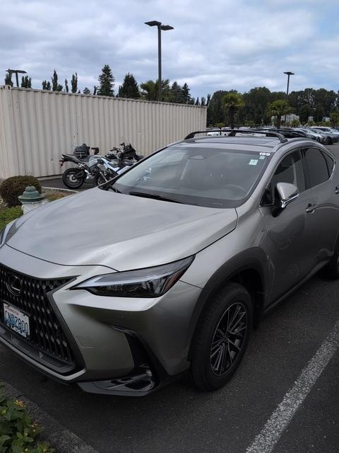 2025 Lexus NX.