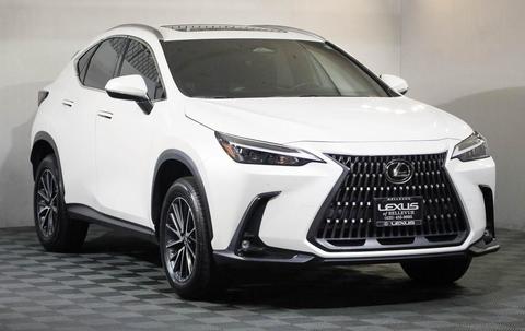 2022 Lexus NX.