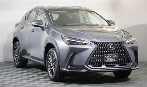 2024 Lexus NX.