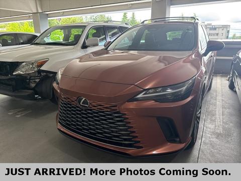 2023 Lexus RX.