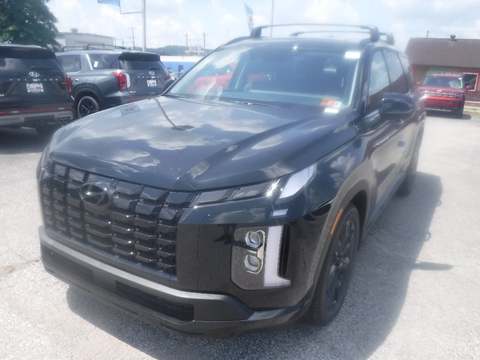 2025 Hyundai Palisade.