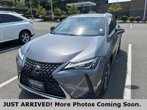 2020 Lexus UX.