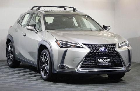 2020 Lexus UX.