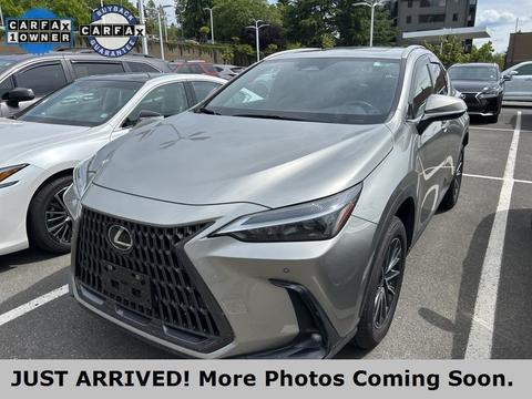 2024 Lexus NX.