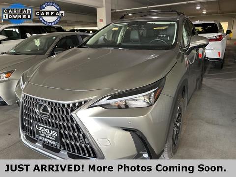 2025 Lexus NX.