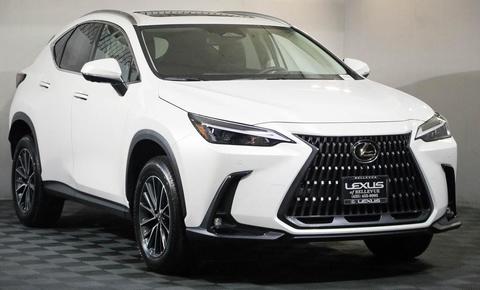 2025 Lexus NX.