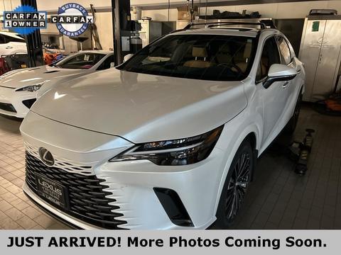 2024 Lexus RX.